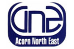 acorn